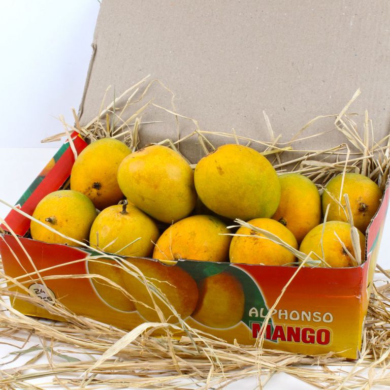 ALPHONSO MANGO BOX Bombay Spices