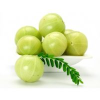 AMLA INDIA