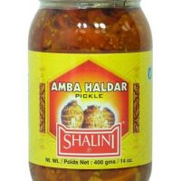 SHALINI AMBA HALDAR 400G