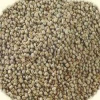 BAJRI 55LB