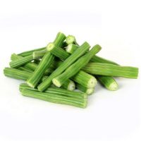 DRUMSTICK INDIA