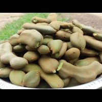 GREEN IMLI