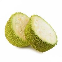 JACKFRUIT GREEN SMALL