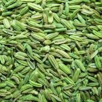 GREEN VARIYALI INDIA