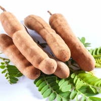 TAMARIND IMLY FRESH INDIA