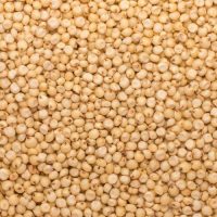 JOWAR 55LB
