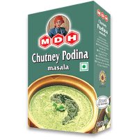 MDH CHUTNEY PODINA MASALA 100G