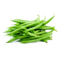 MOGRI GREEN INDIA
