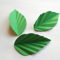 PAPER LEAF