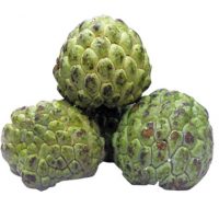 SITAFAL(CUSTARD APPLE)