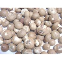 WHOLE SOPARI