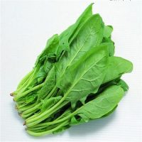 MINT / SPINACH