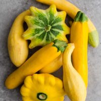 SQUASH INDIA