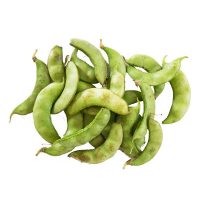 SURTI PAPDI INDIA