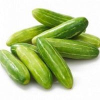 TINDOLA 10KG