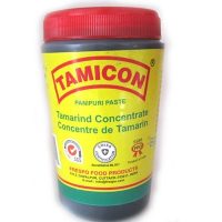 TAMICON PANIPURI TAMARIND PASTE 400G