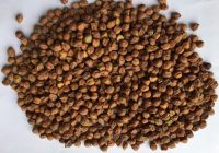 BOM GRAM GOTA CHANA 1KG
