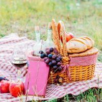 PICNIC